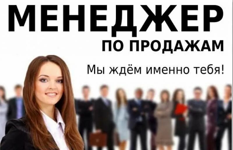 приглашаем на работу менеджера по продажам. требуется менеджер. рекламка менеджера по продажам. приму на работу менеджера по продажам. менеджер по продажам.