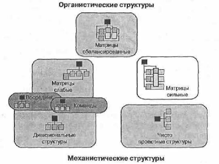 Слабая матрица сильная матрица. Организационная структура проекта и его внешнее окружение. Органистические структуры управления.