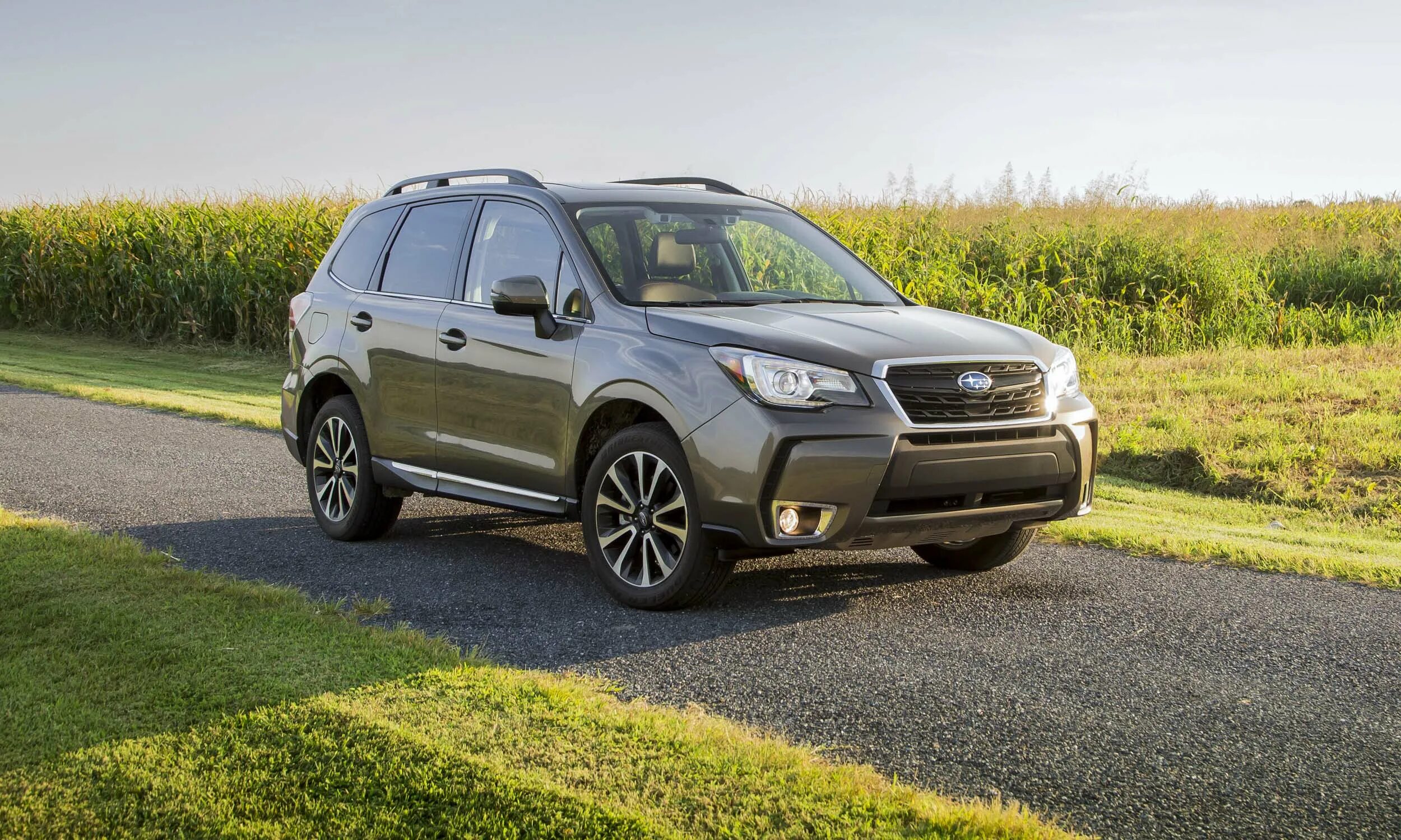 Субару 2017 отзывы. Субару форестер. subaru forester 2018. субару форестер 2018 2.5. subaru forester 2017.