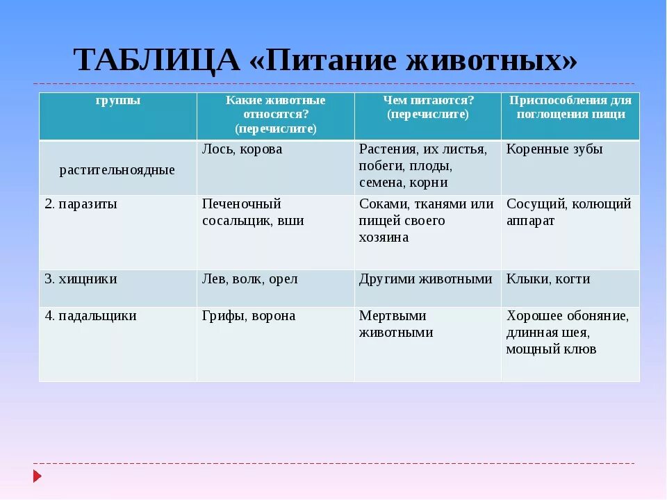 5 групп питания. Питание животных таблица. Особенности питания животных. Типы питания животных. Группы животных по типу питания.