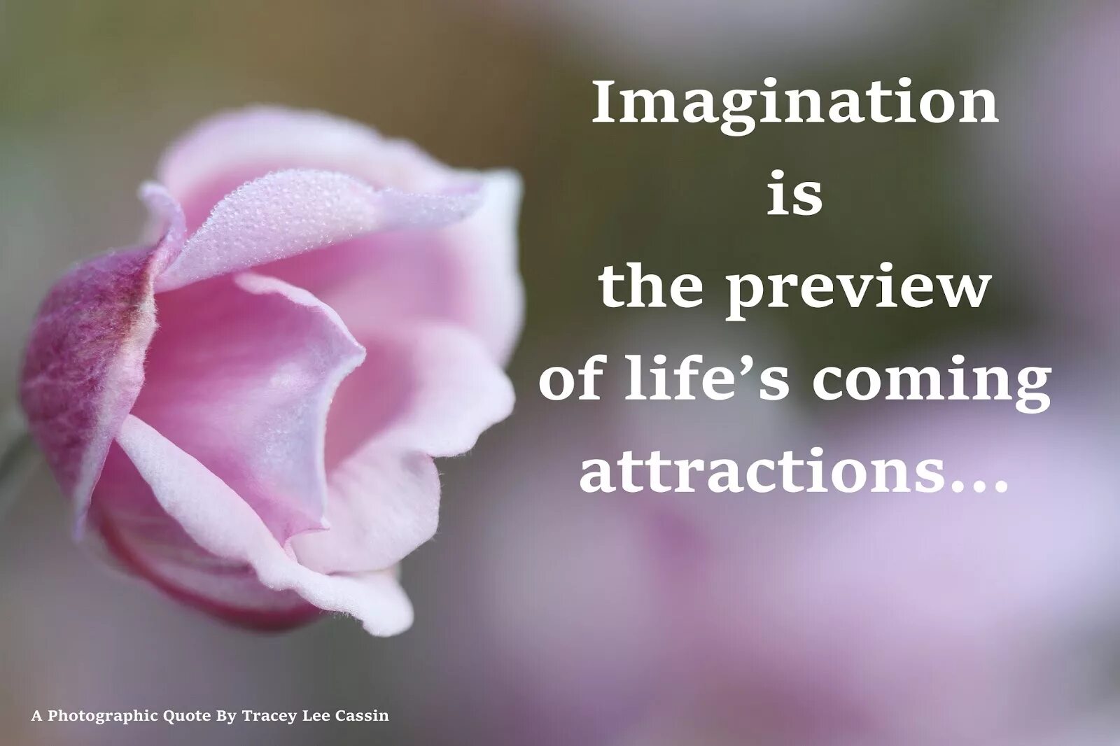 Imagine post