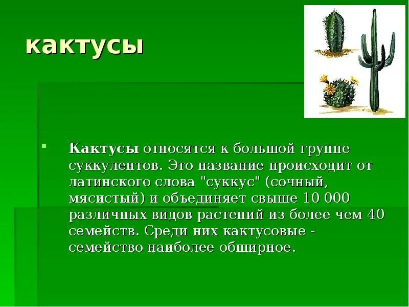 Кактус среда обитания наземно воздушная. Кактус приспособление к среде. Приспособление кактуса к окружающей среде. Среда обитания кактуса. Приспособления кактуса к засушливым условиям.