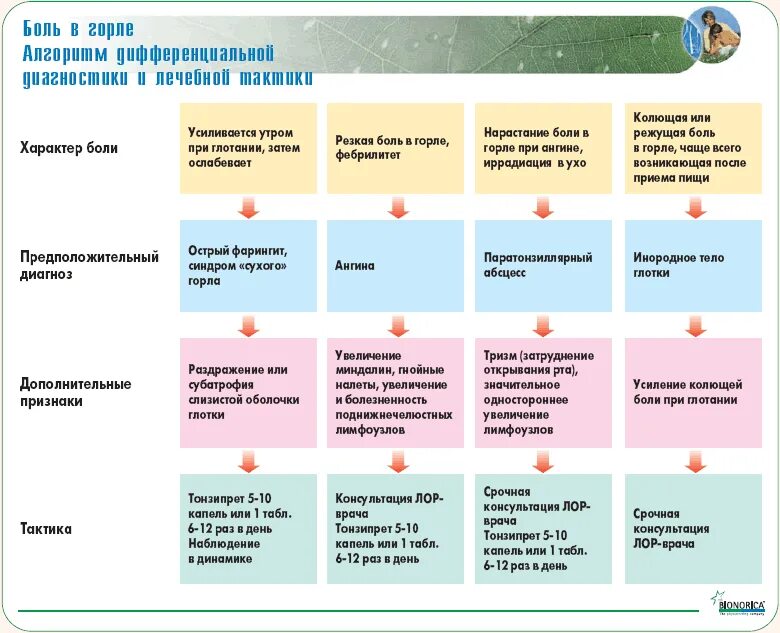 Локализация боли в горле. Фарингит дифференциальная диагностика. Дифференциальный диагноз боли в горле. При боли в горле при беременности 2 триместр. Лечим горло при беременности 3