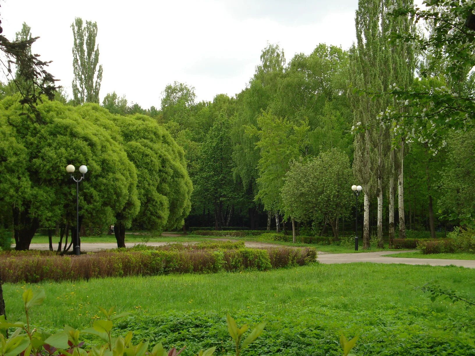 Парки где можно купить. Измайловский парк ПКИО. Лесопарк Измайлово. Парки Москвы Измайловский.