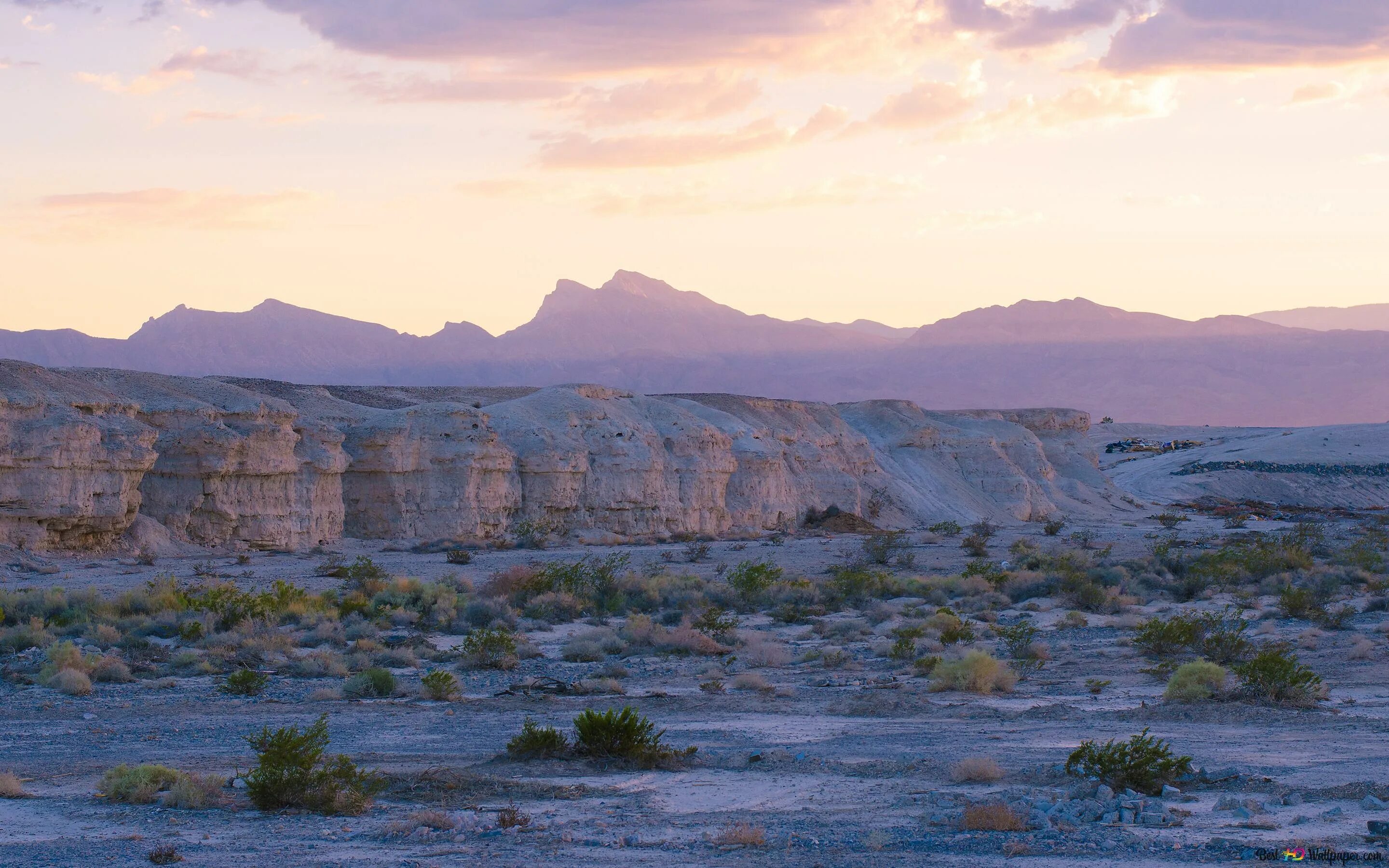Nevada tg