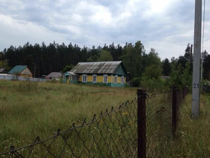 Боров хутор. Хутор бор брянская область. пос хутор бор выгоничский район. деревня хутор бор брянск. деревня хутор бор тевризского района.