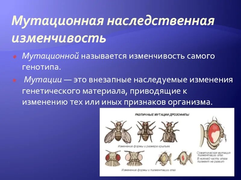 Наследственная комбинативная и мутационная. Комбинативная наследственная изменчивость. Изменчивость организма наследственная изменчивость комбинативная. Инфекционные процессы наследственная изменчивость. Мутационная изменчивость.