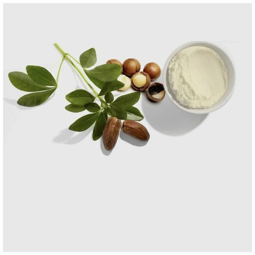 масло дерева ши. молоко кокосовое 400мл (1 шт). кокосовое молоко botanic. питательный шампунь botanic therapy. шампунь garnier botanic therapy кокосовое молоко и макадамия.