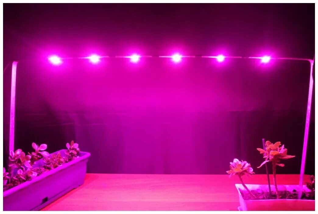 Розовый свет купить. Фитолампа led grow Light. VKL фитолампа фитолампа. Розовая лампа для растений. Розовый свет для растений.