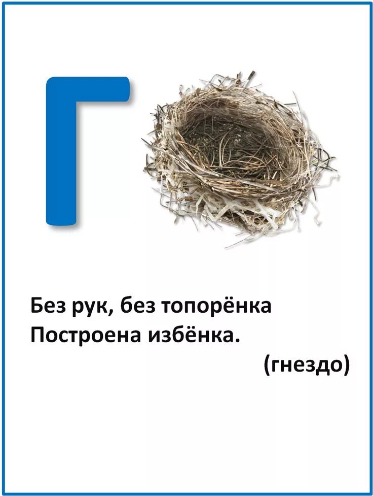 Загадки на букву г. Загадка с отгадкой на букву г. Загадки про букву г для 1 класса. Загадки с ответом на букву г. Загадки на букву 2