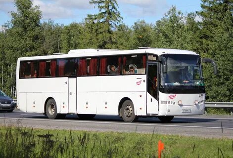 487 санкт петербурга автобус