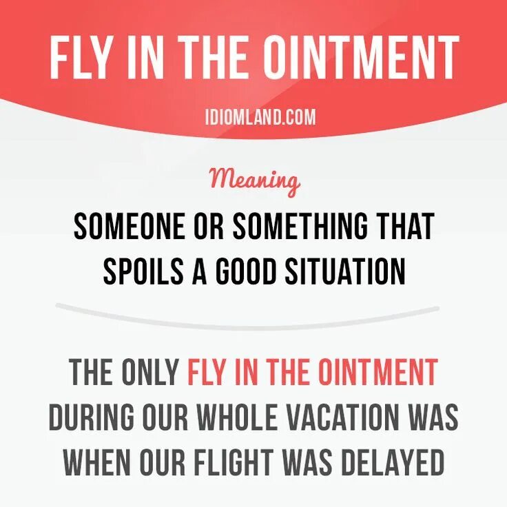 Fly in the Ointment. Only Fly. Перевод идиомы Fly someone. Fly only Business.