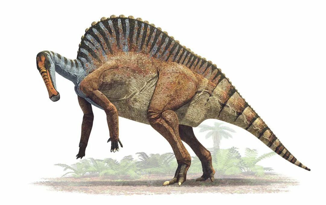 Динозавра завр. Уранозавр. ouranosaurus nigeriensis. уранозавр уранозавр. орнитоподы юрского периода.