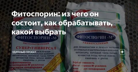 Когда обрабатывать фитоспорином помидоры в теплице