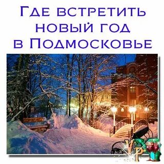 Встретить новый год подмосковье