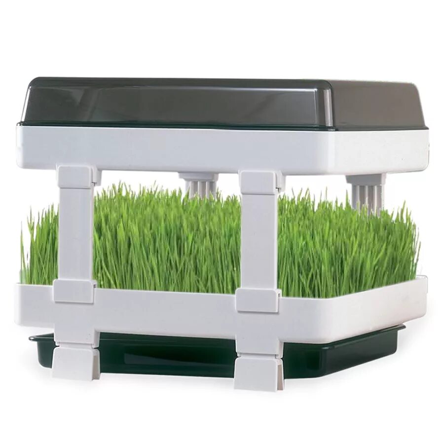 Микроферма easygreen. Микроферма для микрозелени. Микроферма авито. Микроферма с лампой. Титул микроферма.