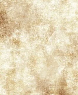 Parchment paper