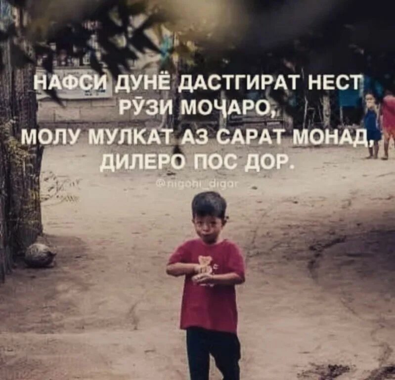 Зиндаги шер. Картинки ошикона точики. Табрикоти модарнома. Картинки шеърхои ошики. Шеърхо.