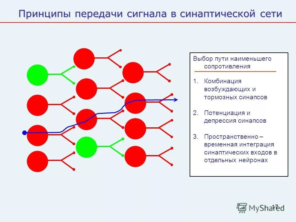 алгоритм объединения подсетей. схема инфокоммуникационной сети. функционирования компьютерных сетей. иерархическая модель сети cisco. принципы функционирования сетей.