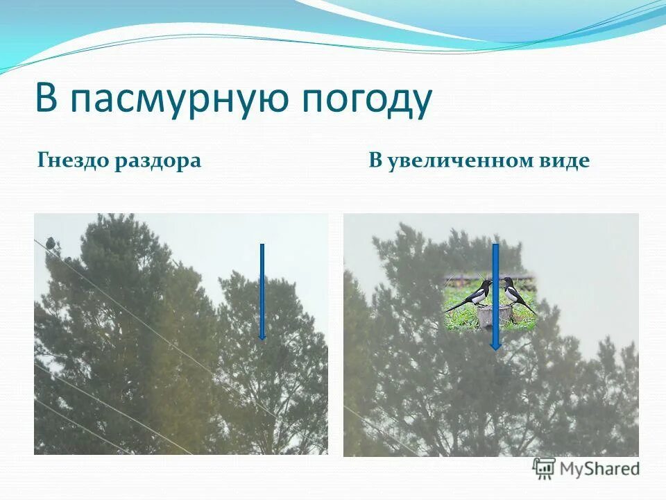Видимость предметов в пасмурную погоду. Признаки определение погоды. Признаки устойчивой ясной погоды. Признаки ясной погоды. Признаки пасмурной погоды.