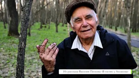 В песков русский язык