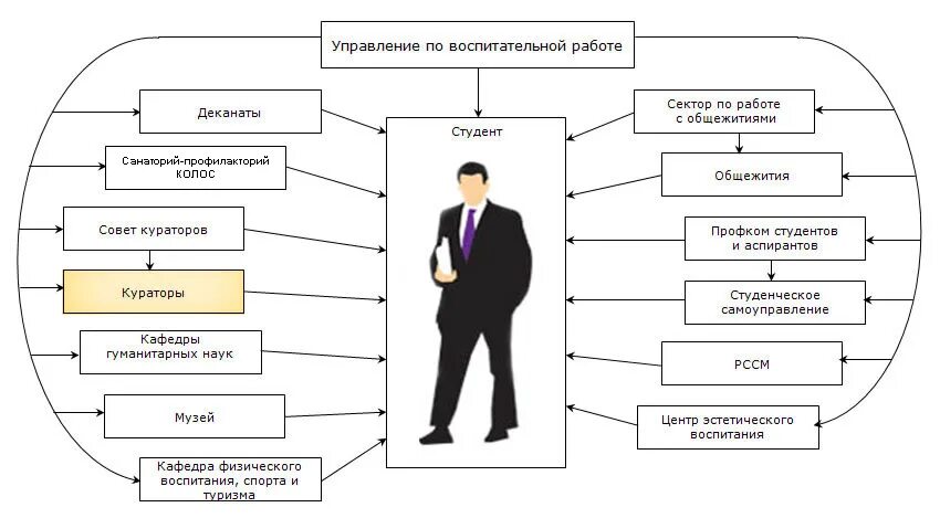 Воспитательная работа в вузе. Отдел воспитательной работы. Формы воспитательной деятельности куратора в университете. Структура отдела воспитательной работы в вузе.