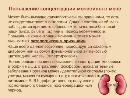 Пониженный креатинин при онкологии
