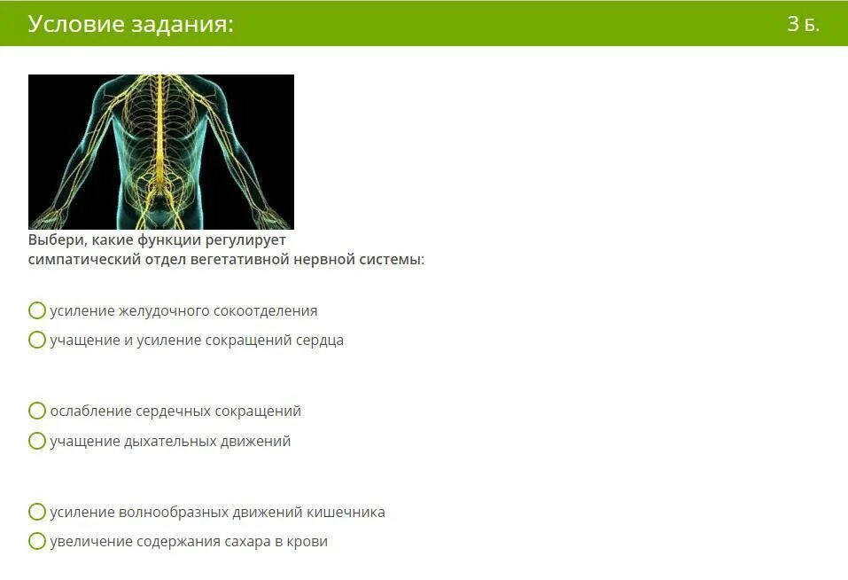 Какие функции регулирует симпатический отдел нервной системы. Какие функции регулирует симпатический отдел вегетативной системы. Симпатическая нервная система функции. Функции симпатического отдела нервной системы вегетативной системы. Какие функции регулирует парасимпатический отдел.