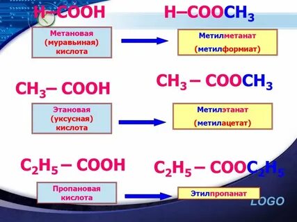 Метановая кислота