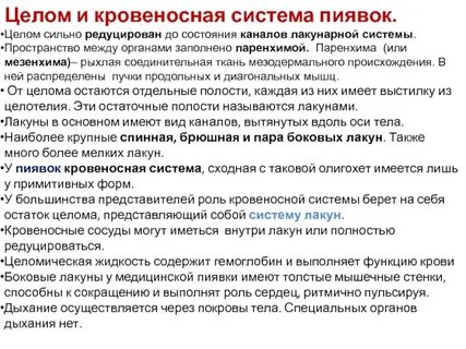 Редуцированный орган