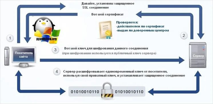 Установить ssl соединение. SSL сертификат схема. SSL/TLS сертификат. Принцип работы SSL сертификата. Протокол SSL.