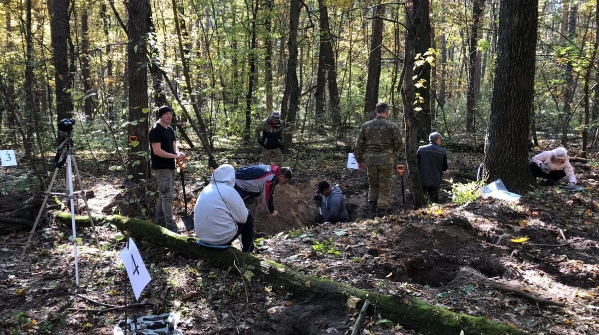 Воронежская Нагорная Дубрава Воронеж птицы. Нагорная Дубрава Воронеж. Нагорная Дубрава Воронеж лесничий. Воронеж Нагорная Дубрава во время войны. Воронежская нагорная дубрава