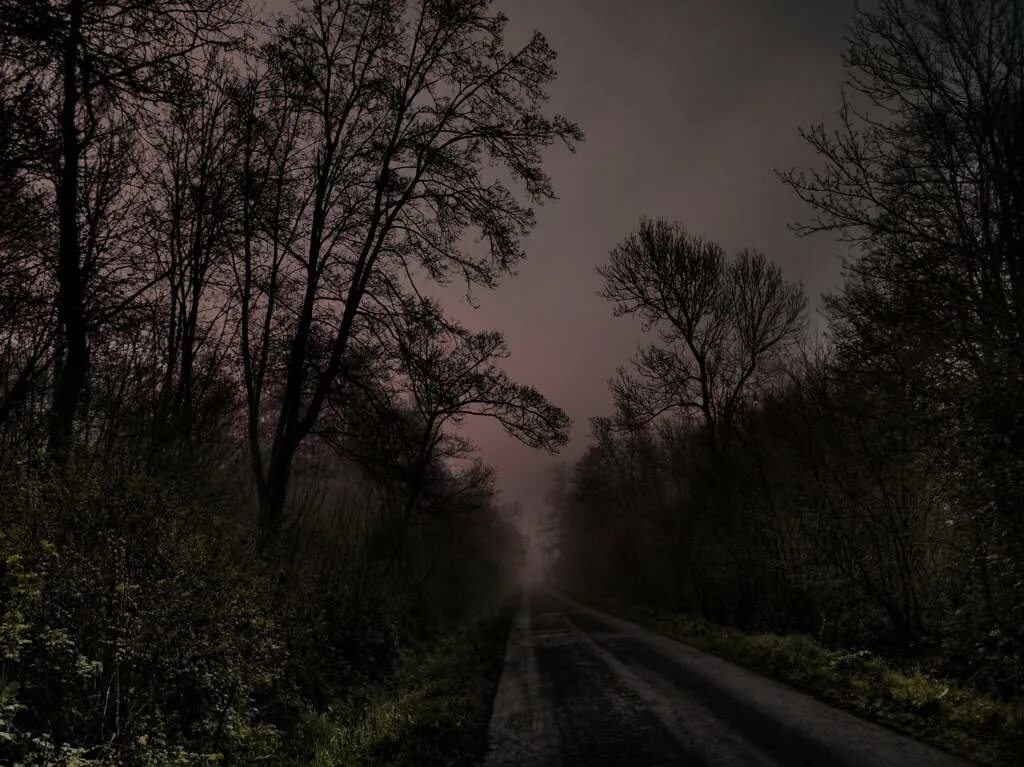 В темное время суток и в пасмурную. Темная дорога. Дорога в темном лесу. Мрачная дорога. Мрачная дорога в лесу.