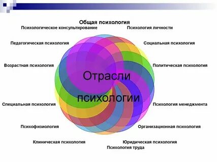 Общие отрасли это