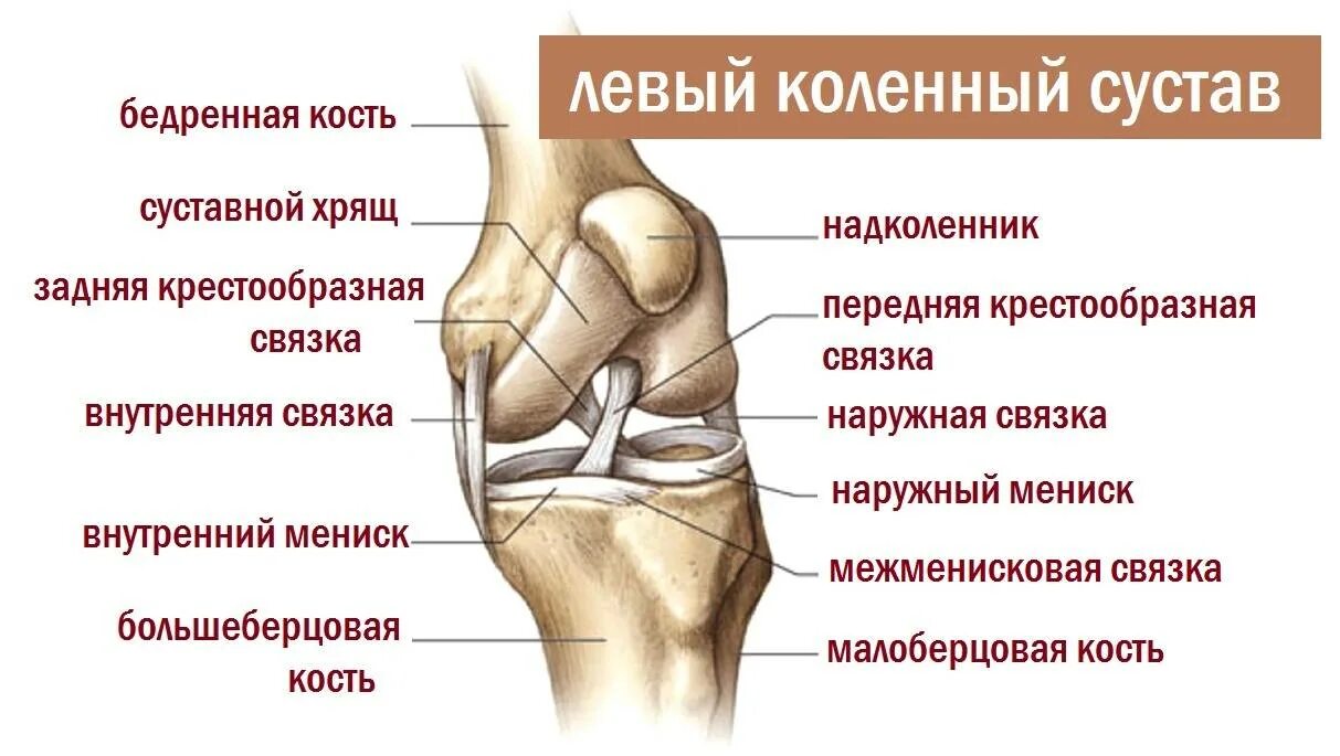 Растяжение связок сустава мкб. Мкб повреждение мениска коленного сустава. Травма связок, мениска коленного сустава. Травма мениска коленного сустава мкб 10. Менископатия коленного сустава мкб.