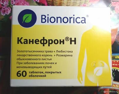 Почечные лекарственные средства