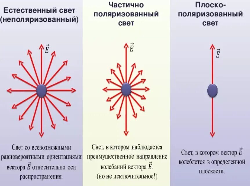 1 что называют светом. Естественный поляризованный и частично поляризованный свет. Частично поляризованный свет. Естественно поляризованный свет. Естественный и поляризованный свет физика.