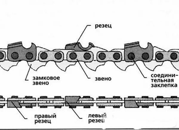 Цепь какой должен быть. Как правильно поставить цепь на пилу. как правильно поставить цепь на бензопилу направление зубьев. правильная установка цепи на бензопилу. схема установки цепи на бензопилу.