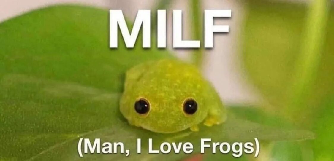 Man i Love Frogs. Мемы с жабами. Мемы с лягушкой живой. Man i like Frog. L can like a frog