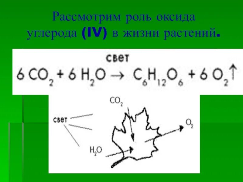 5 углеродов. Углерод биогенный элемент. 1-водород 1-азот 3-кислород. Углерод карточка по химии. 5 углеродов.