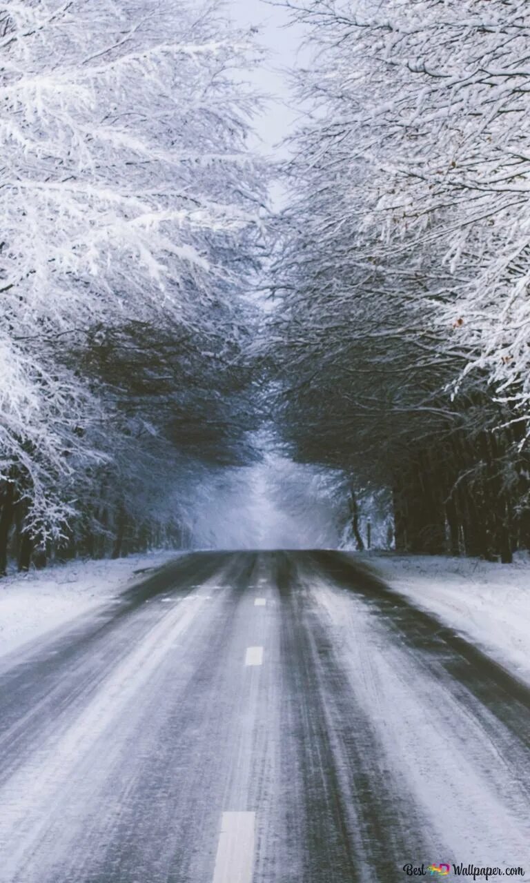 Снежная дорога. Заснеженная дорога. Снег на дороге. Зимние дороги.