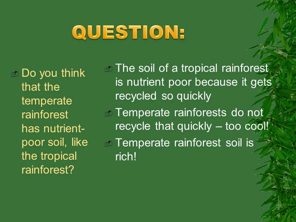 Конспект урока Tropical Rainforest Spotlight 10. Tropical Rainforest перевод. Tropical Rainforest Spotlight 10. Гдз по английскому the Tropical Rainforest.