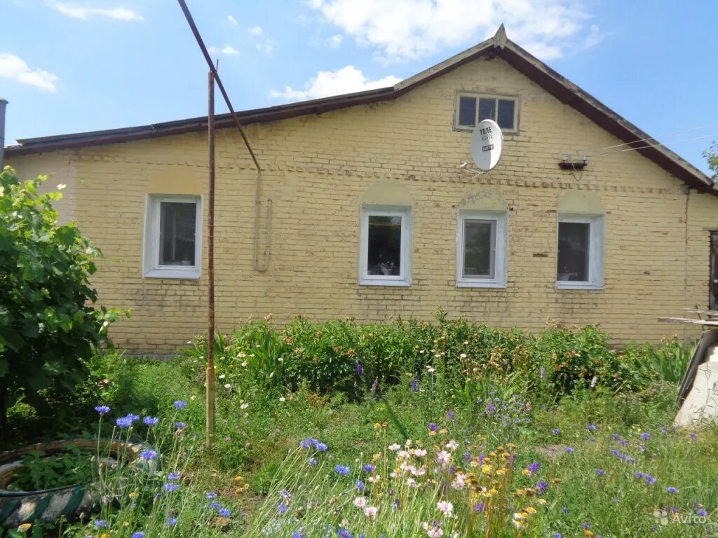 Продается дом с коротное. Борисовка белгородская область дом. Авито волоконовка дома. Продается благоустроенный дом. Новый оскол село новая безгинка.