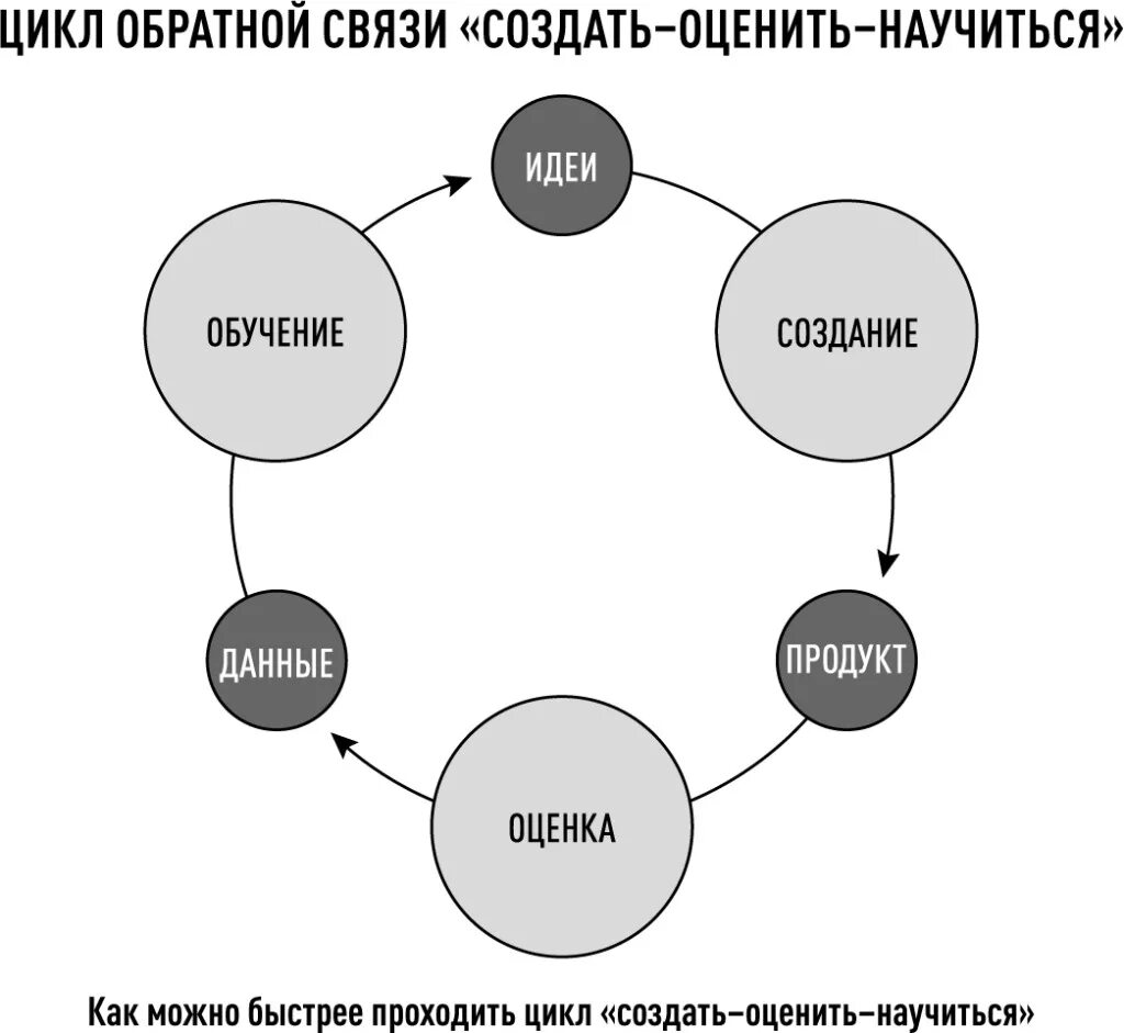 Цикл обратной связи. Цикл создать оценить научиться. Цикл обратной связи создать-оценить-научиться это.