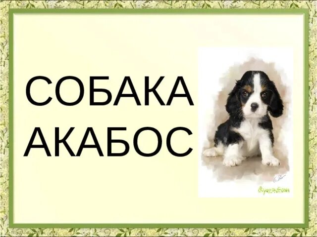 Приложение собака. Дизайн приложения для домашних питомцев. Sobaka приложение для музыки. Программа собачка. Программа собачка.