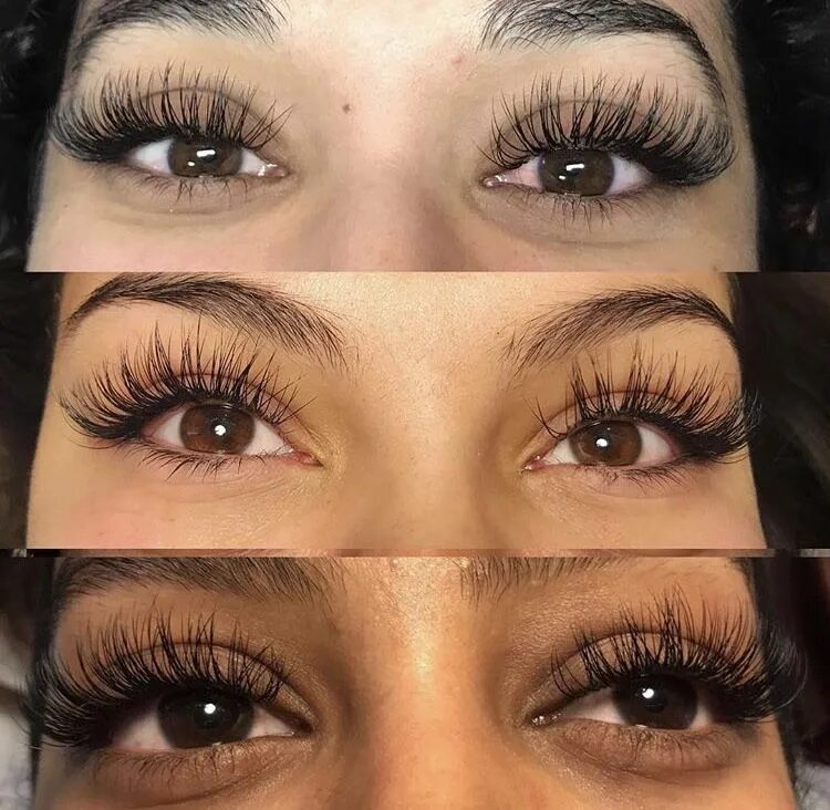 Pin by Kim Kent on Lashes Perfect eyelashes, Eyelash extentions, Eyelash extensi
