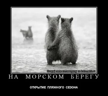 Берег открытое слово