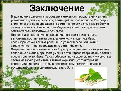Рассказ о жизни растений