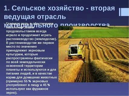 Отрасли сельского хозяйства наиболее развитые