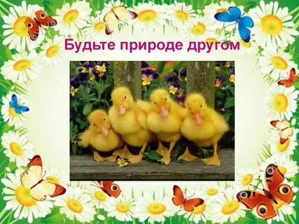 Ребята утята 2 класс литературное чтение